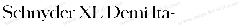 Schnyder XL Demi Ita字体转换
